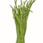 Barbati cowpea 500Gm